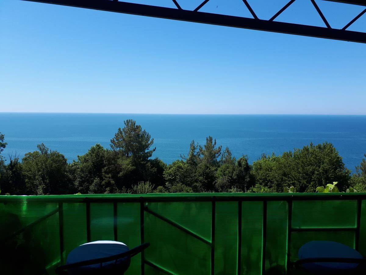 Фото Гостевого дома Мини Отель Багрыпста Цандрыпш 1